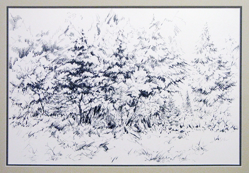 Woods 2, 15x20 inches, graphite pencil, 2012.JPG